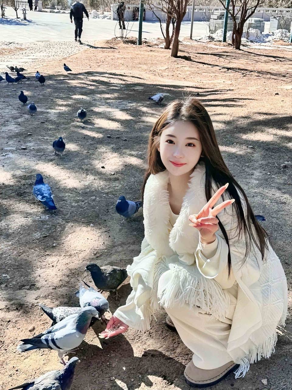 广州葵花宝典，蒲友的独特魅力与文化探索