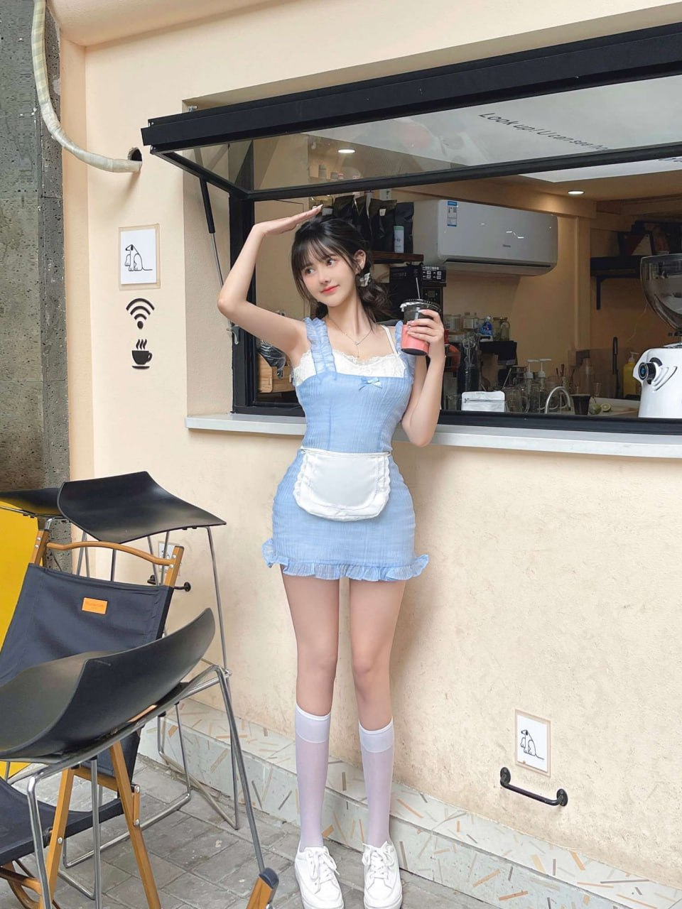 犬马之家品茶