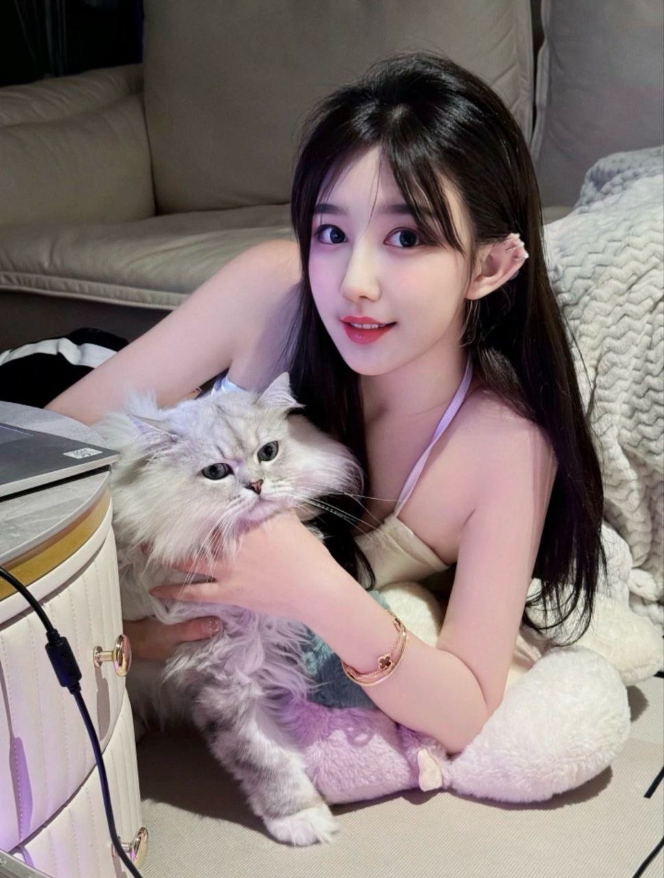 深圳犬马之家入口